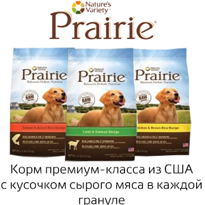 Wide plain puppy корм от wolfsblut широкая равнина в спб